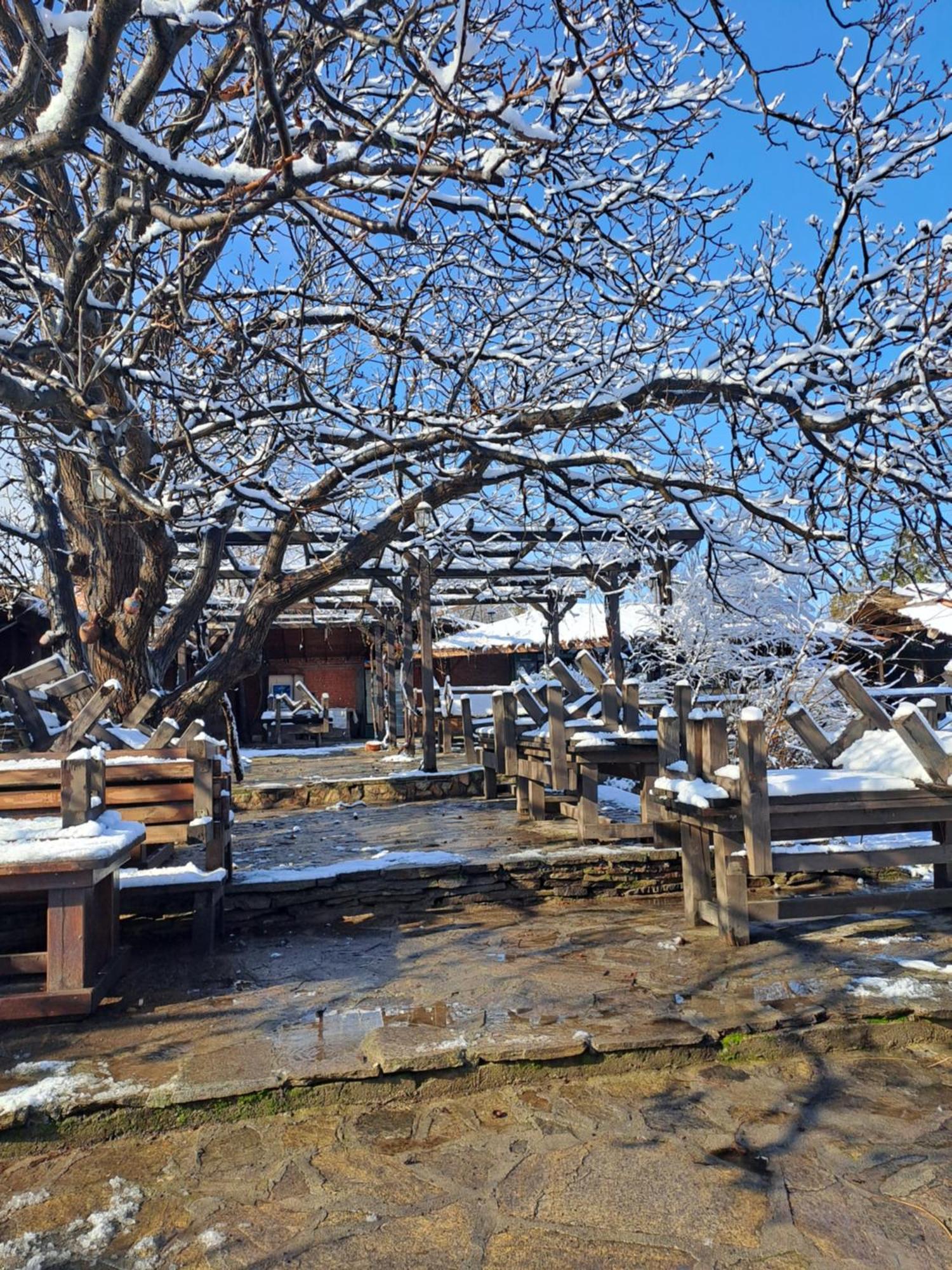 Комплекс Тракийски Стан Asenovgrad Extérieur photo